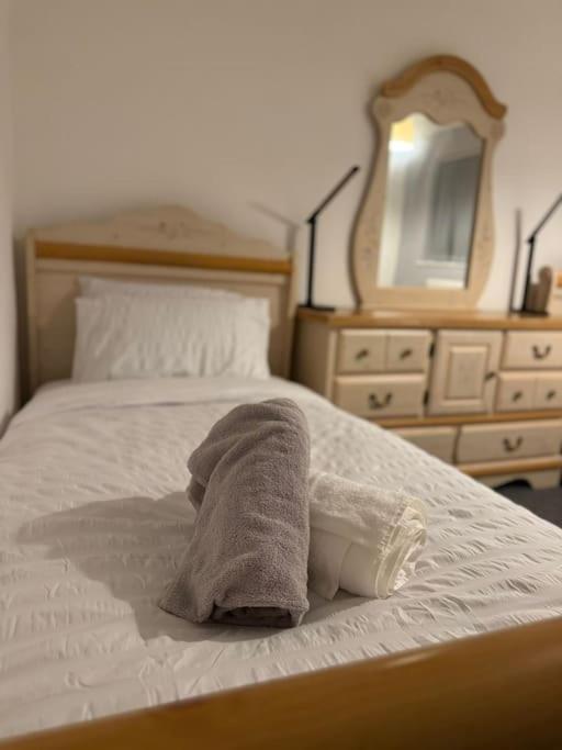 Cozy 3-Bed House In Leicester City Centre מראה חיצוני תמונה